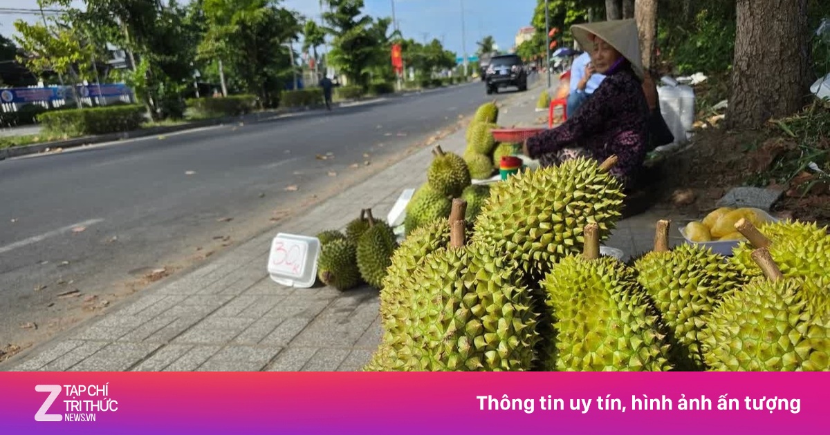 Nguyên nhân giá sầu riêng 'rẻ như bèo'