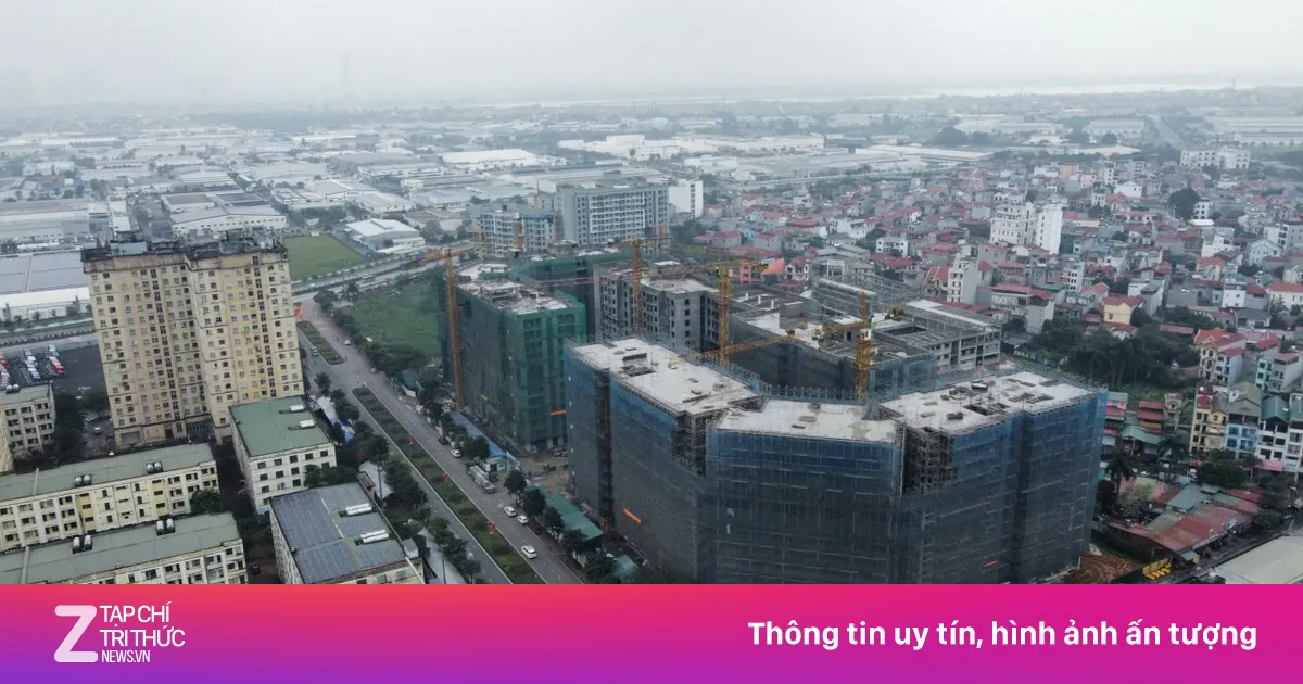 znews.vn
