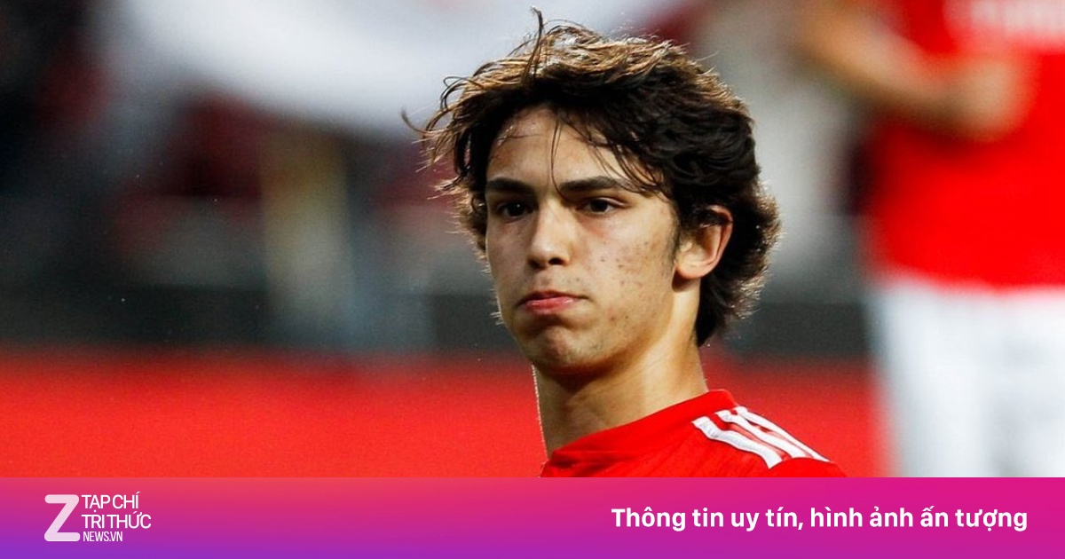 Felix tìm ra bến đỗ mới