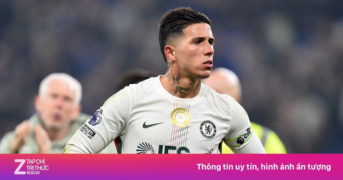 Enzo Fernandez xin lỗi
