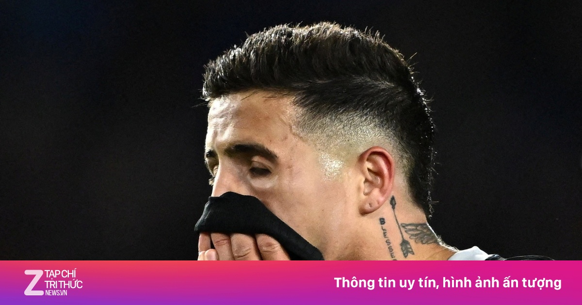 Brighton Thắng Đậm 3-0 Trước Chelsea, Gây Sốc Tại Premier League