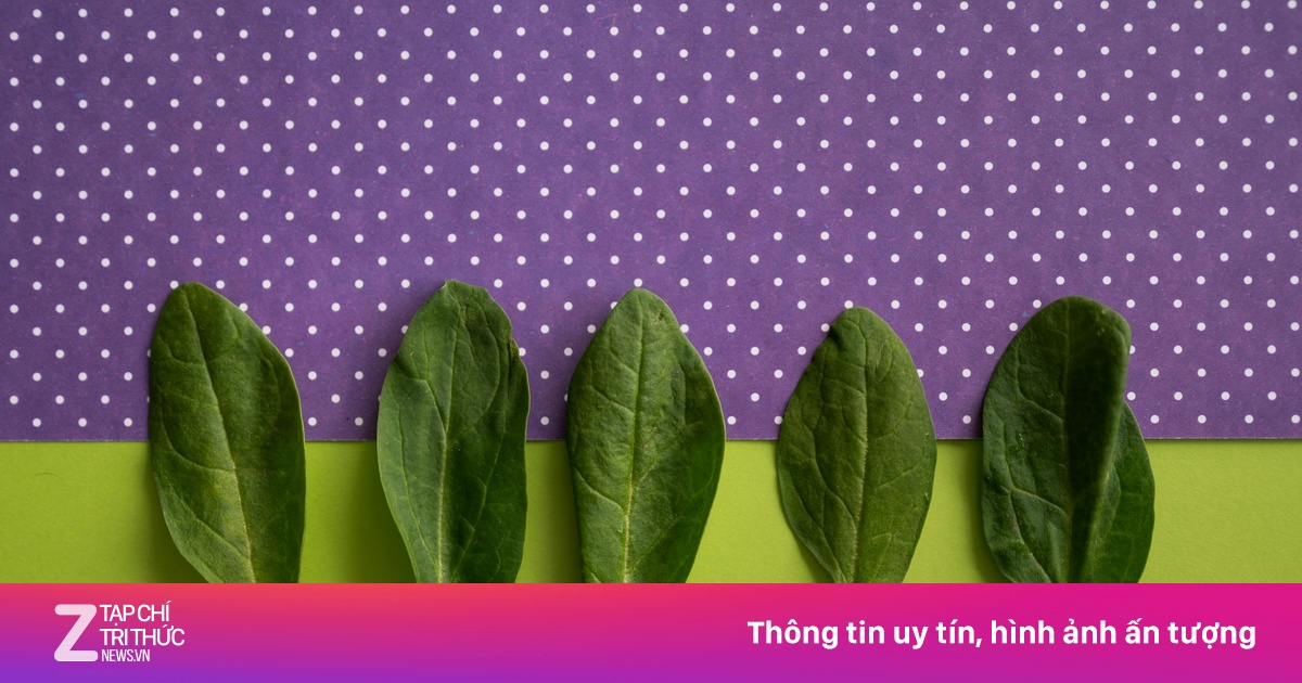 Một loại rau là ‘nguyên liệu vàng’ trong làng làm đẹp