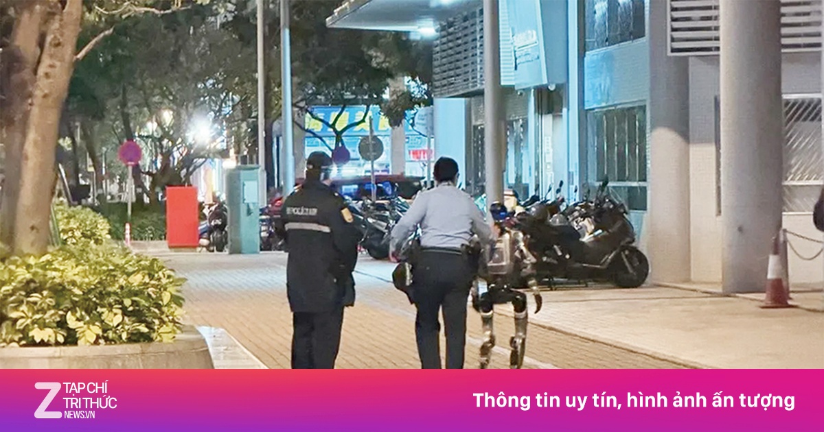 Robot khiến bà cụ nhập viện, bị cảnh sát áp giải