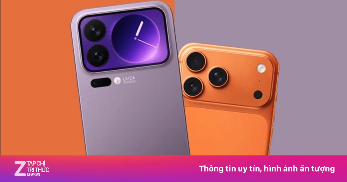 znews.vn