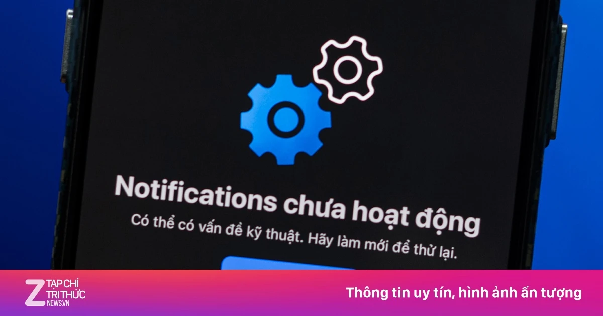znews.vn