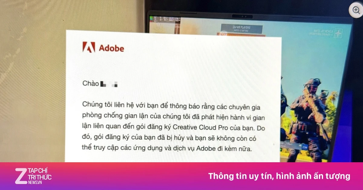 znews.vn