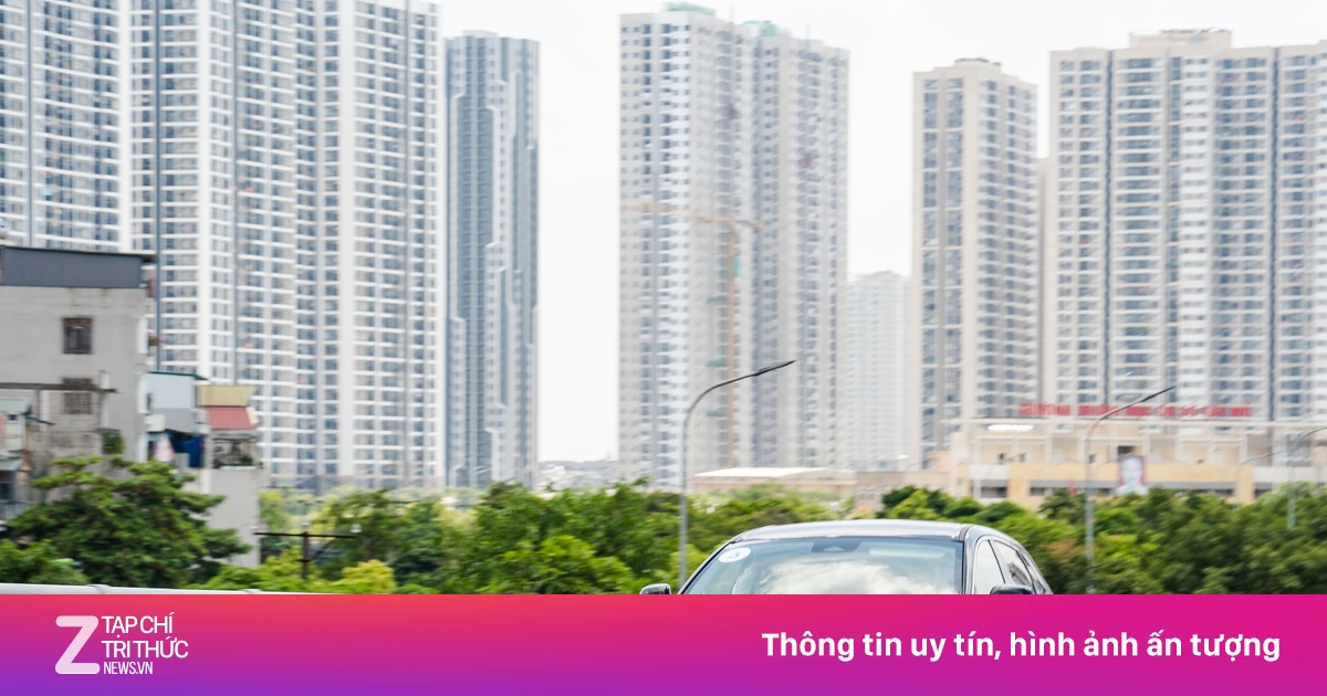 zingnews.vn