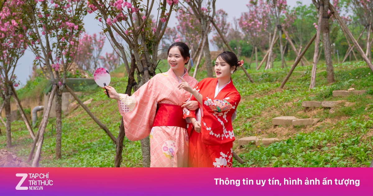 Điểm đến 3 miền tấp nập đón khách dịp Giỗ Tổ Vùng Vương