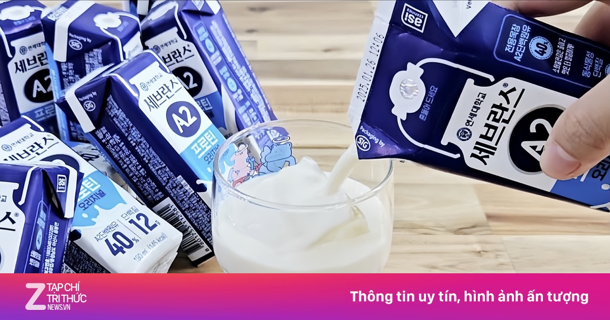 Kiddo Care đồng hành cùng mẹ bảo vệ hệ tiêu hóa bé yêu