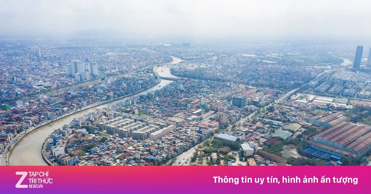 znews.vn