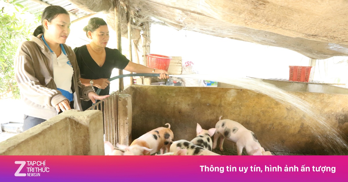 Kết quả chương trình 'Trao quyền cho phụ nữ' năm 2024 tại Long An