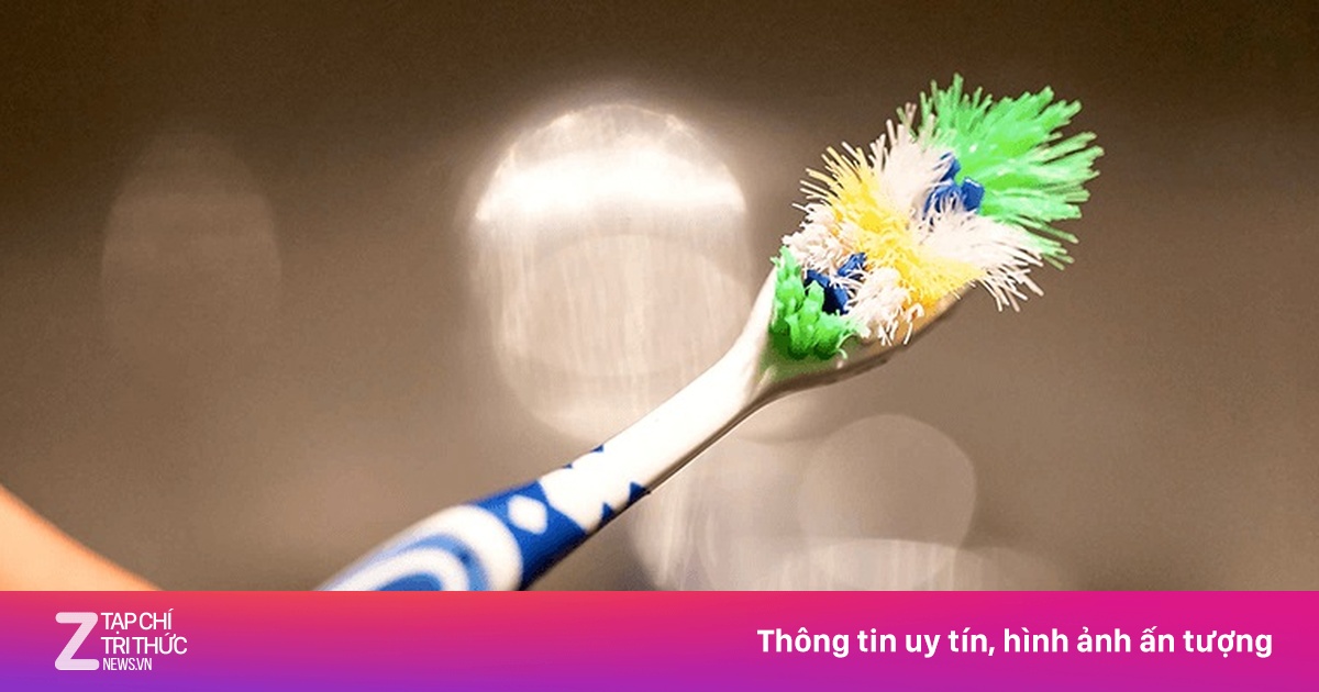 Đổi bàn chải cũ tại Bách Hóa Xanh, nhận ưu đãi tới 40% từ Colgate