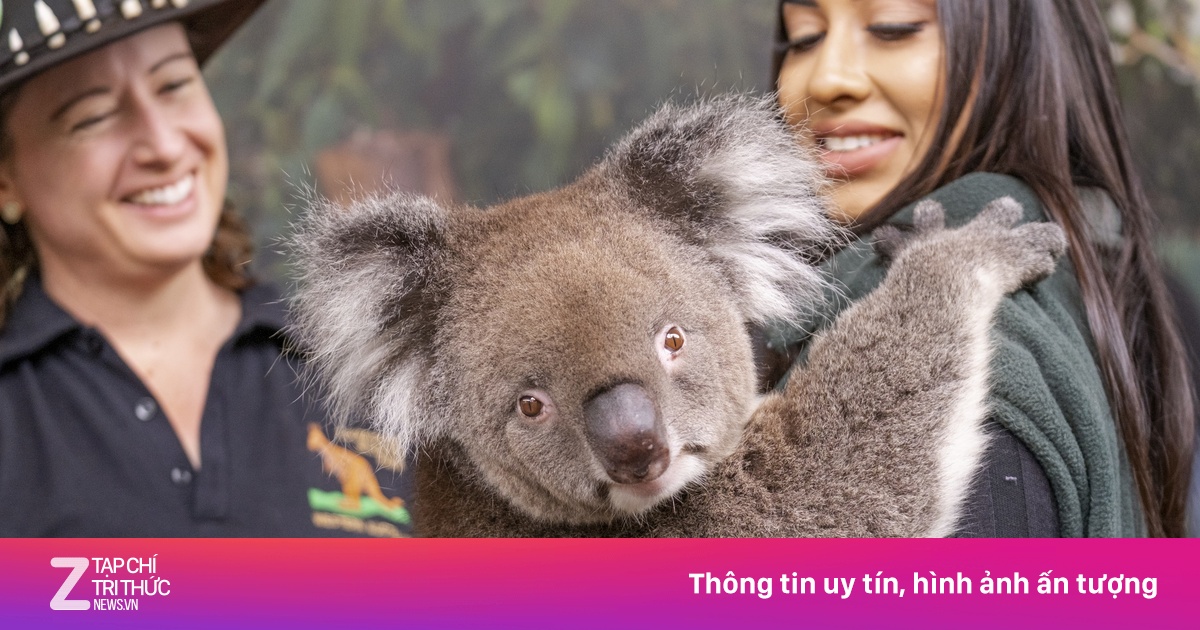 Khám phá vẻ đẹp nguyên sơ của vùng đất Tây Australia