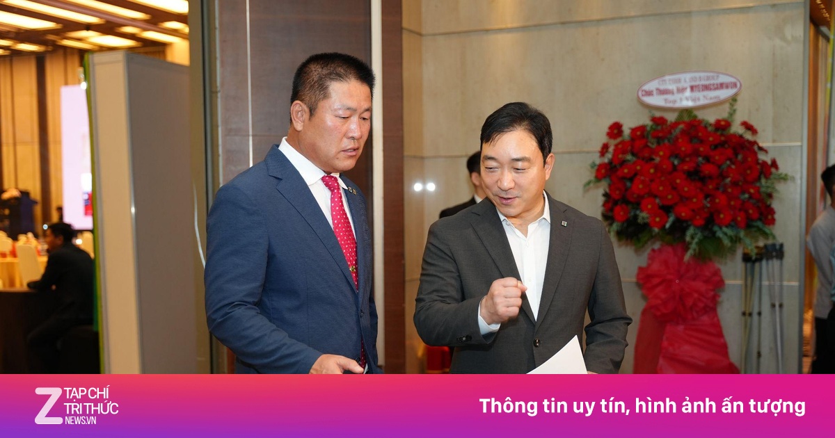 Tiêu chuẩn chọn hồng sâm 6 năm tuổi hỗ trợ sức khỏe