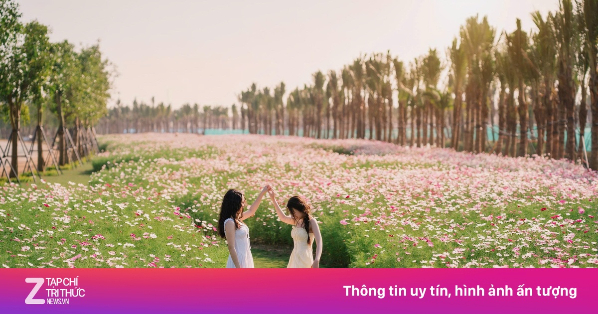 Ecopark tràn ngập sắc hoa khắp 3 miền dịp Tết Bính Ngọ 2026