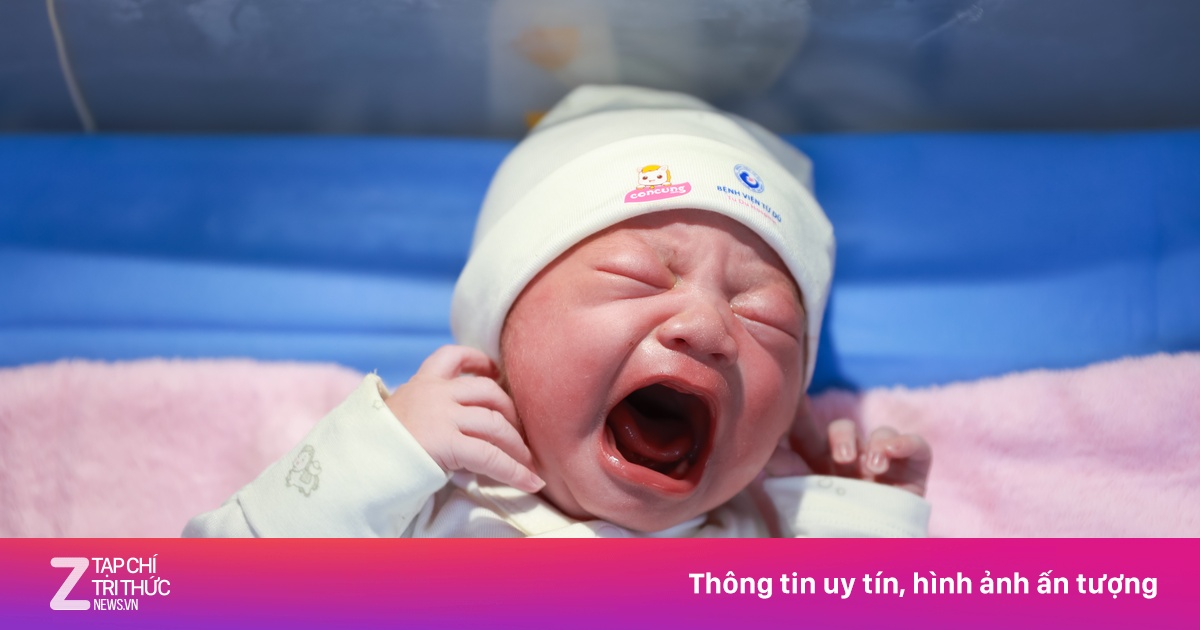 Những công dân nhí ‘Ngựa vàng’ đầu tiên chào đời của năm Bính Ngọ 2026