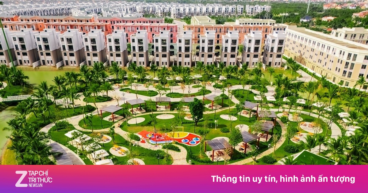 Vịnh Xanh Dự Báo Tái Lập Kỳ Tích Tăng Giá 400% Nhờ Hạ Tầng Chiến Lược