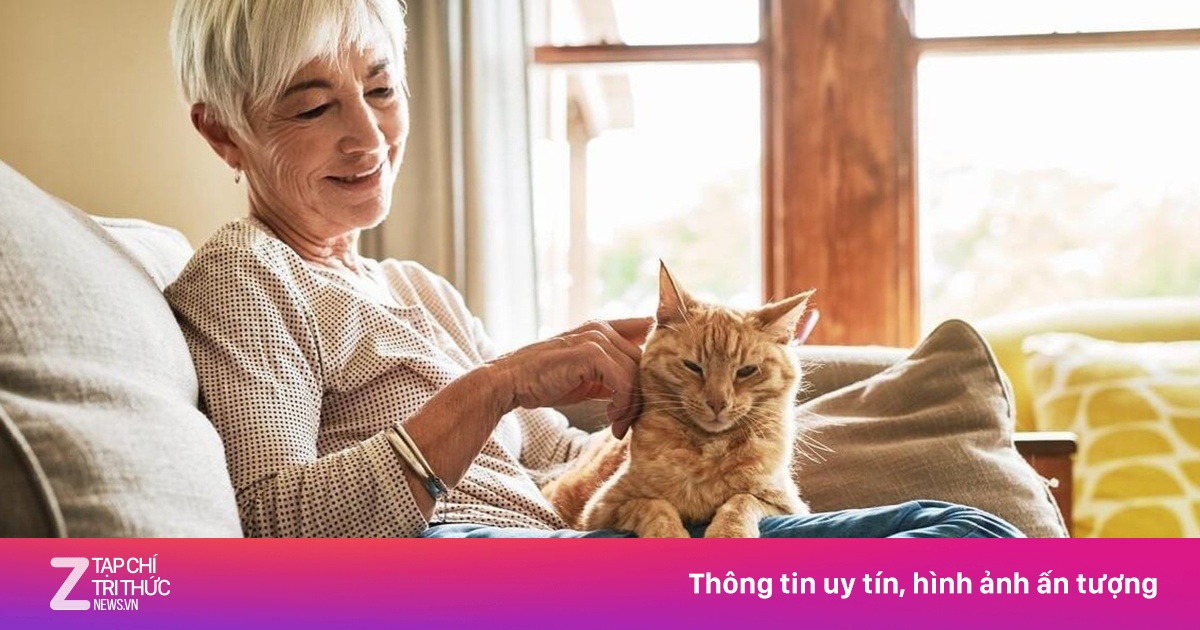 Sống độc lập ở tuổi già: Bài toán tâm lý hay xu hướng tất yếu?