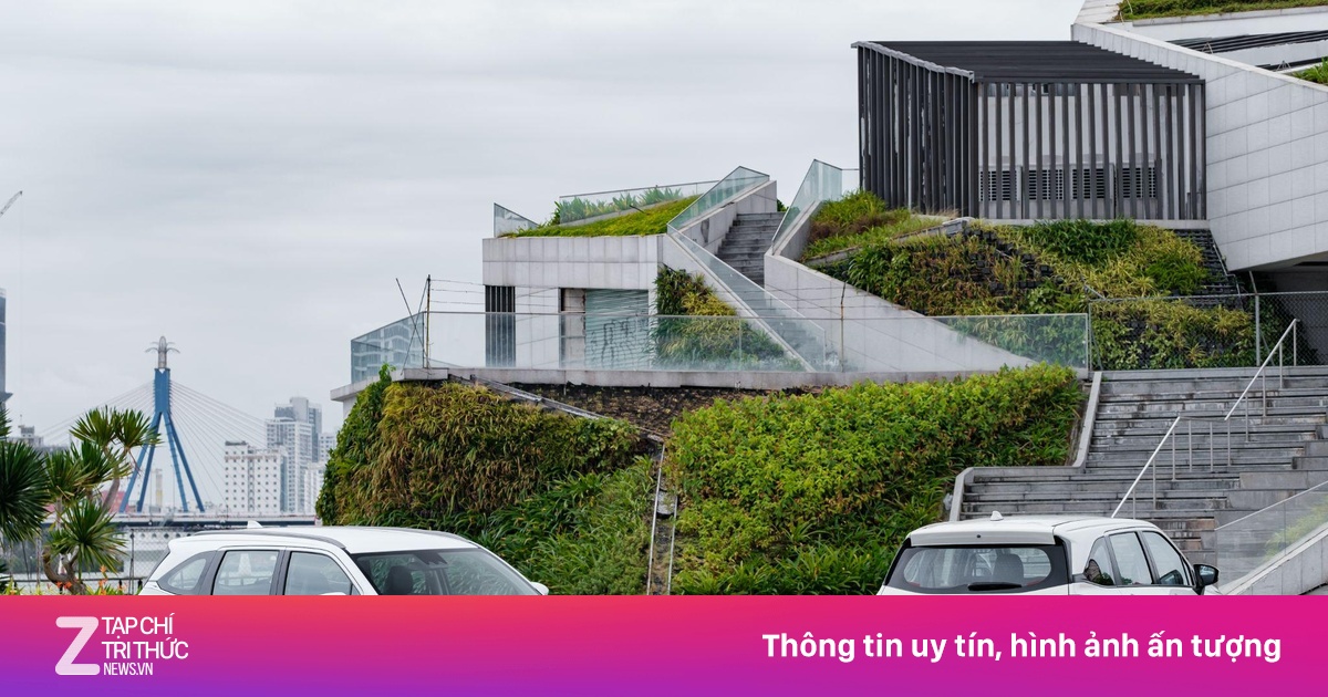 Xe Toyota - lời giải cân bằng nhu cầu và bài toán kinh tế đường dài