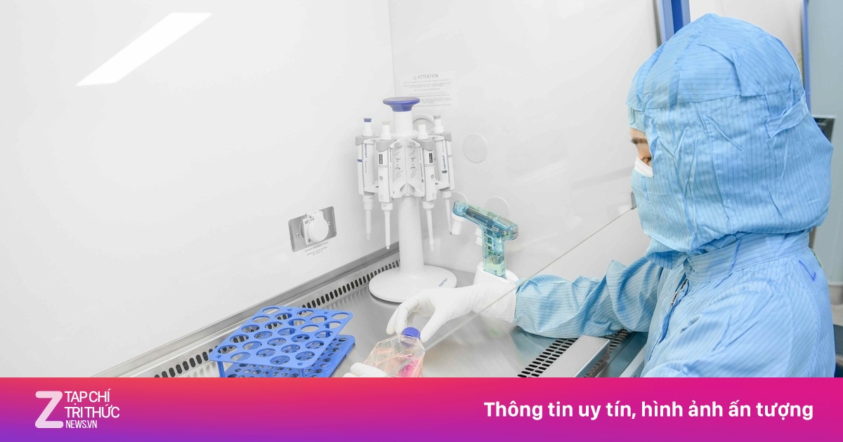 Vinmec Mở Ra Hy Vọng Mới Cho Bệnh Nhân Ung Thư Máu Kháng Trị Nhờ Ghép Tế Bào Gốc
