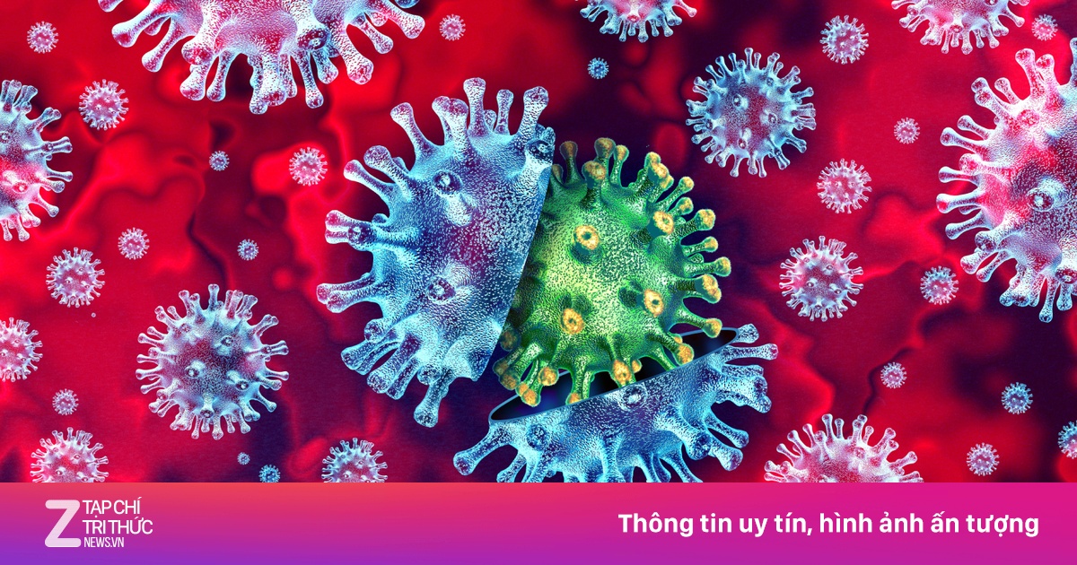 Vaccine cúm mùa 2026: Cập nhật chủng mới để đối phó biến thể virus