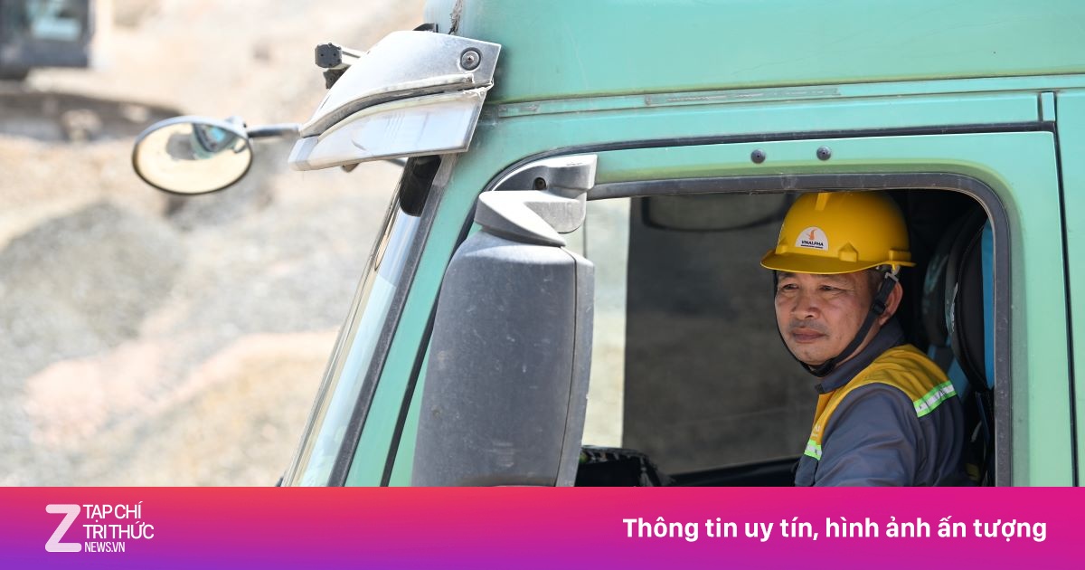 znews.vn