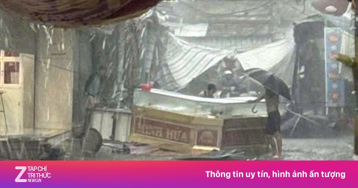 znews.vn