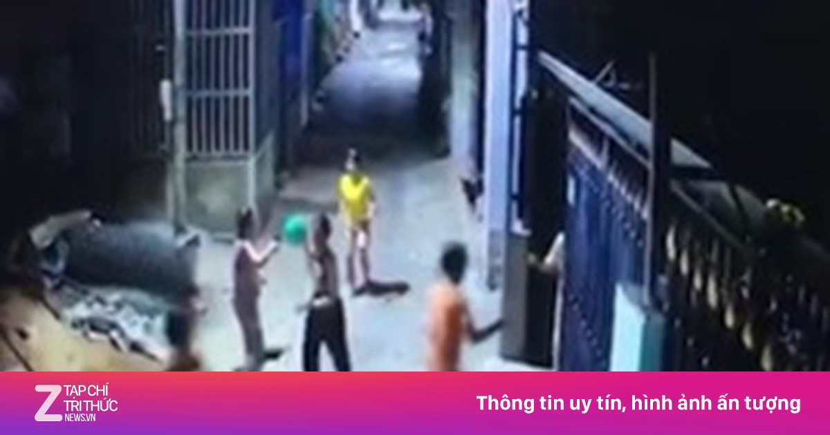 zingnews.vn