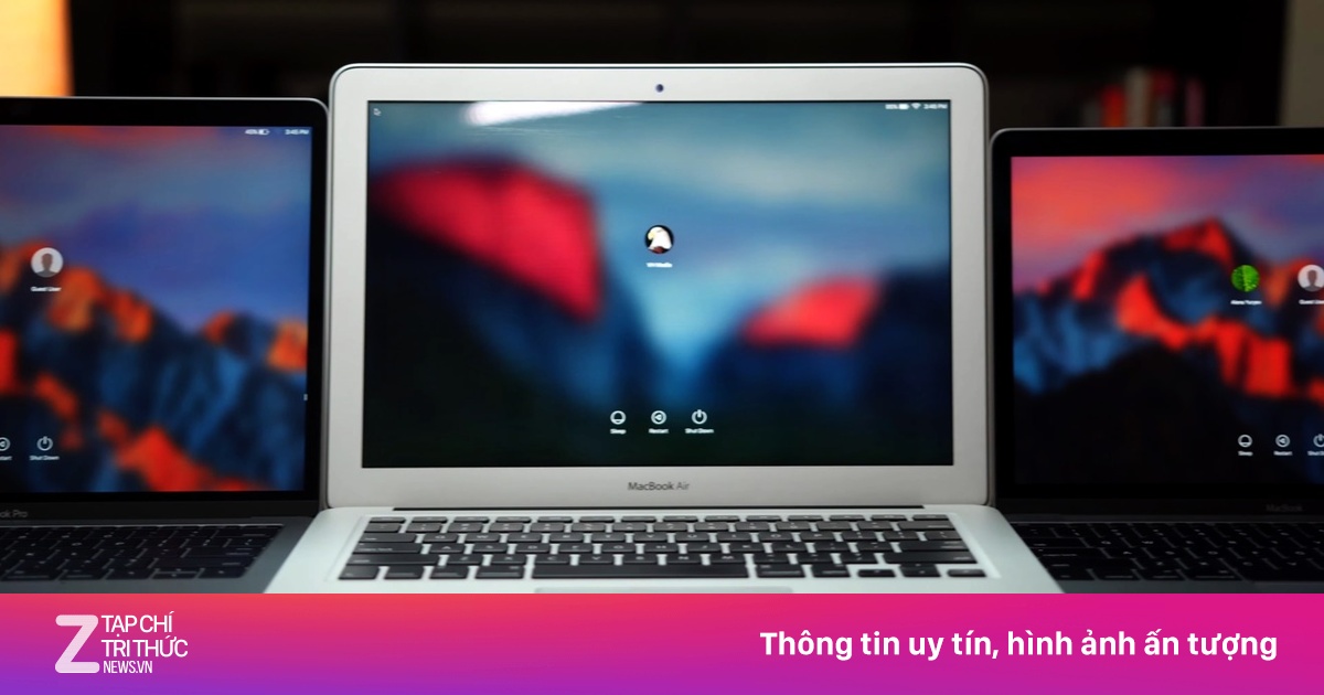zingnews.vn