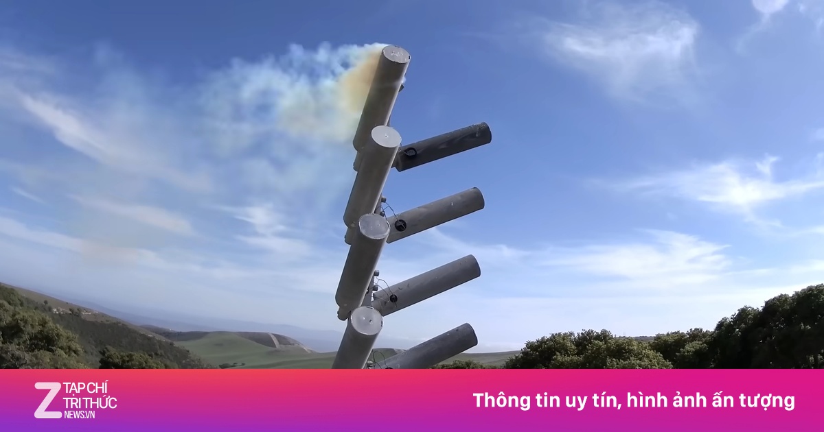 znews.vn
