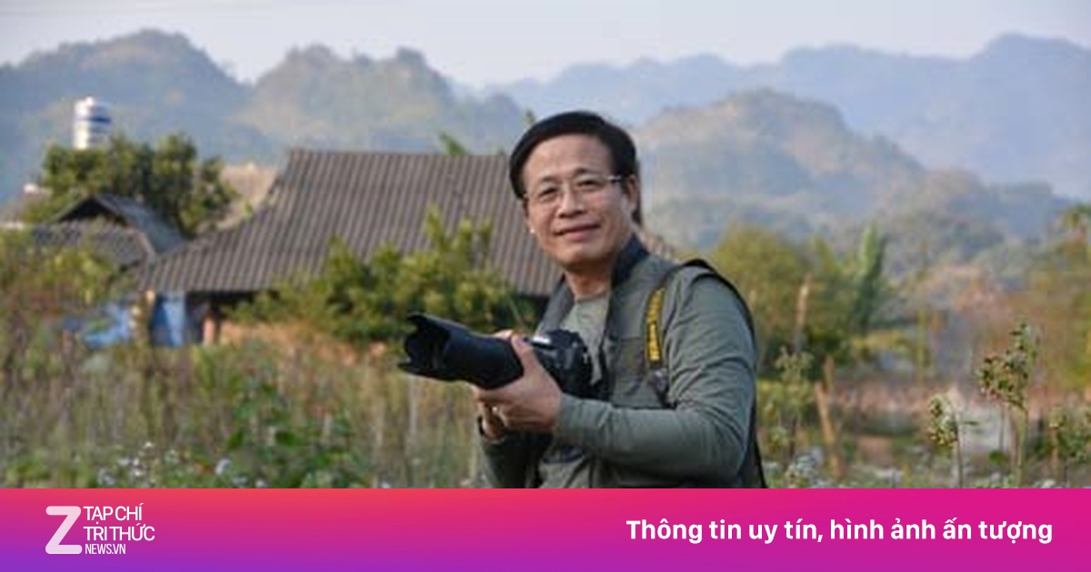 znews.vn