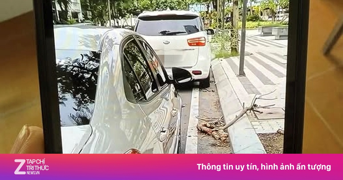 Đỗ xe đúng luật - 25 cm từ mép vỉa hè hay vạch kẻ đường?