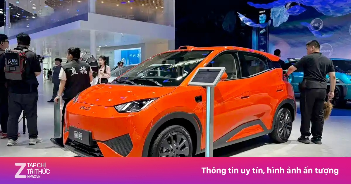znews.vn