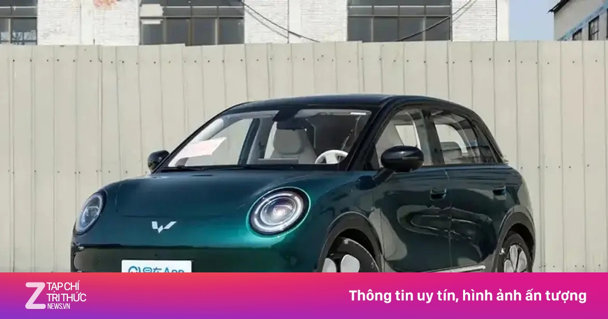 znews.vn