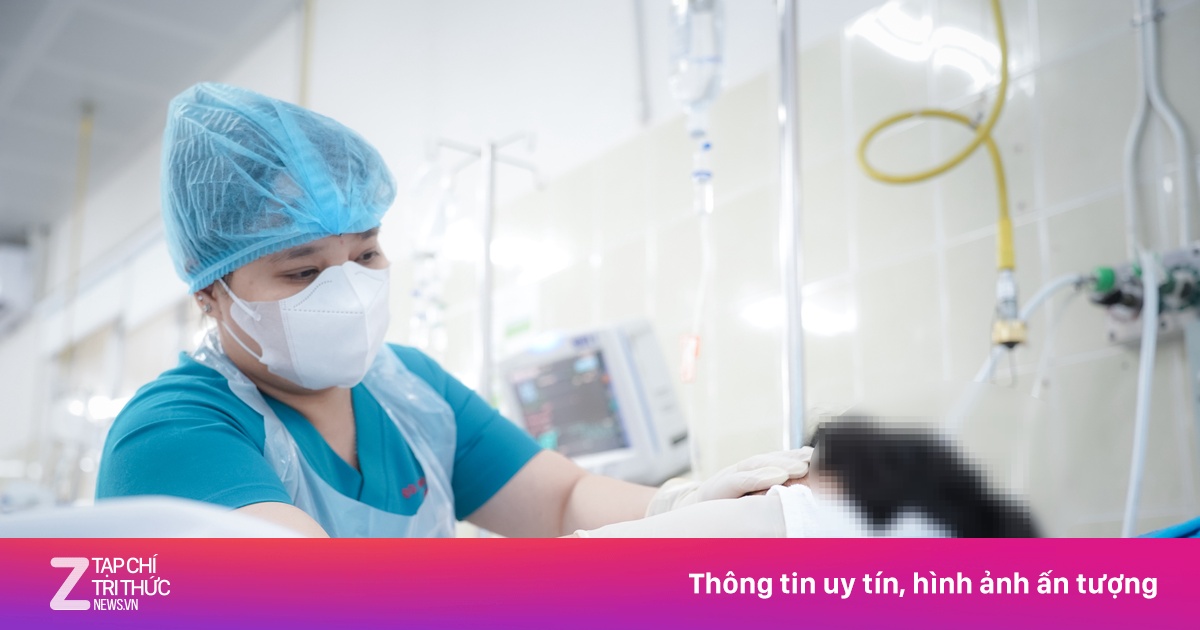 Bị nhánh cây rơi trúng đầu, bé trai ở TP.HCM nguy kịch