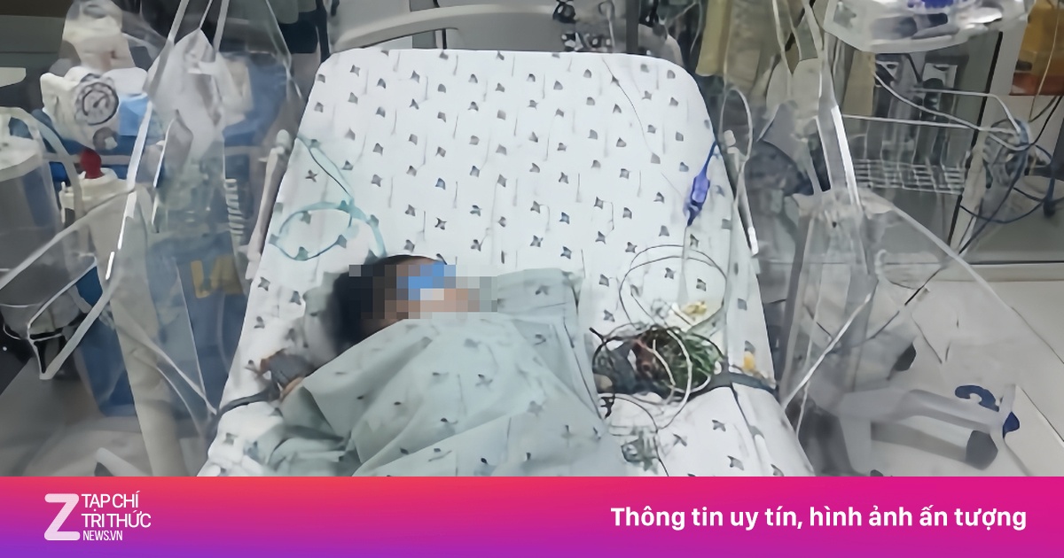 Cứu bé 4,5 tháng tuổi sốc sốt xuất huyết nặng, rối loạn đông máu