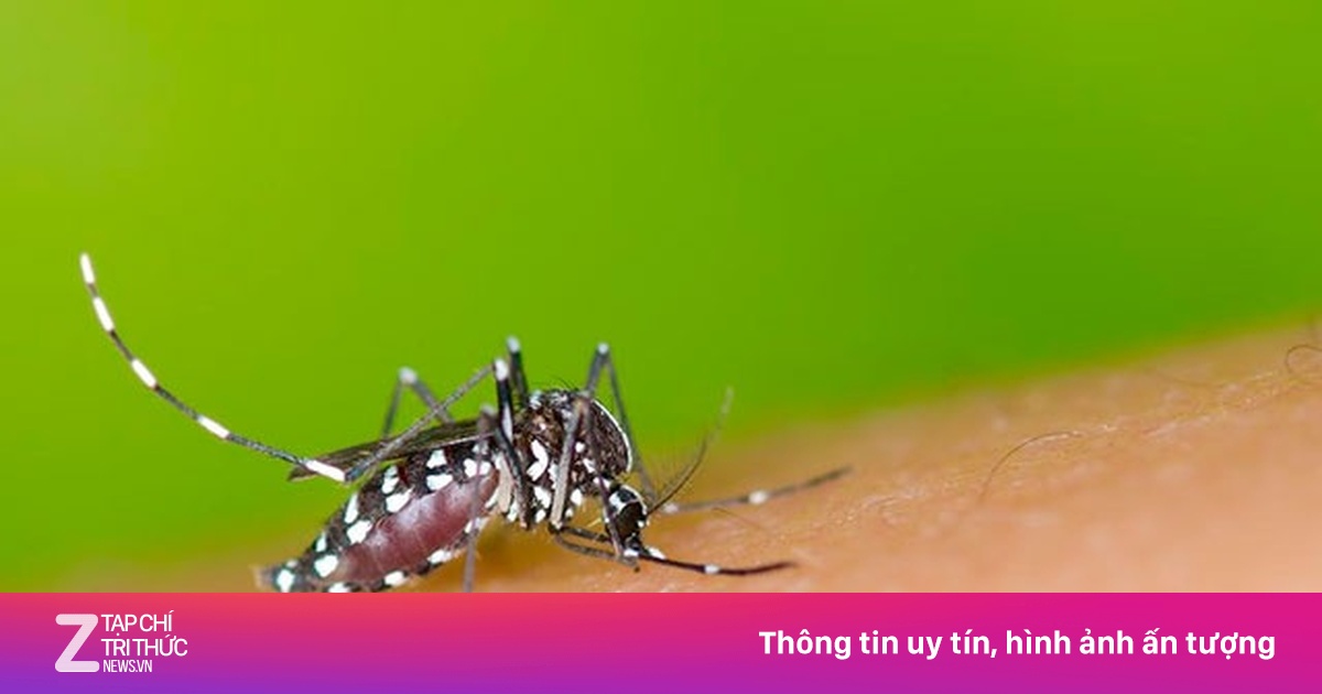 Dịch sởi hạ nhiệt, sốt xuất huyết vào mùa