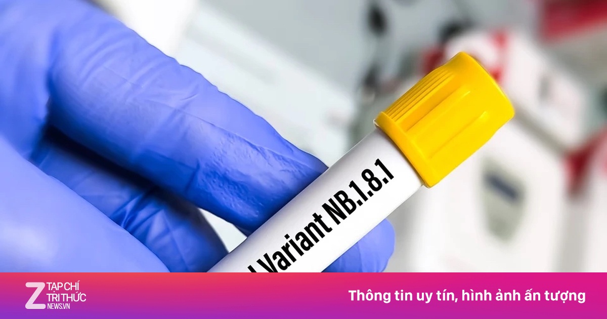 Ca mắc Covid-19 tại TP.HCM giảm 66%, ngành y tế vẫn cảnh giác