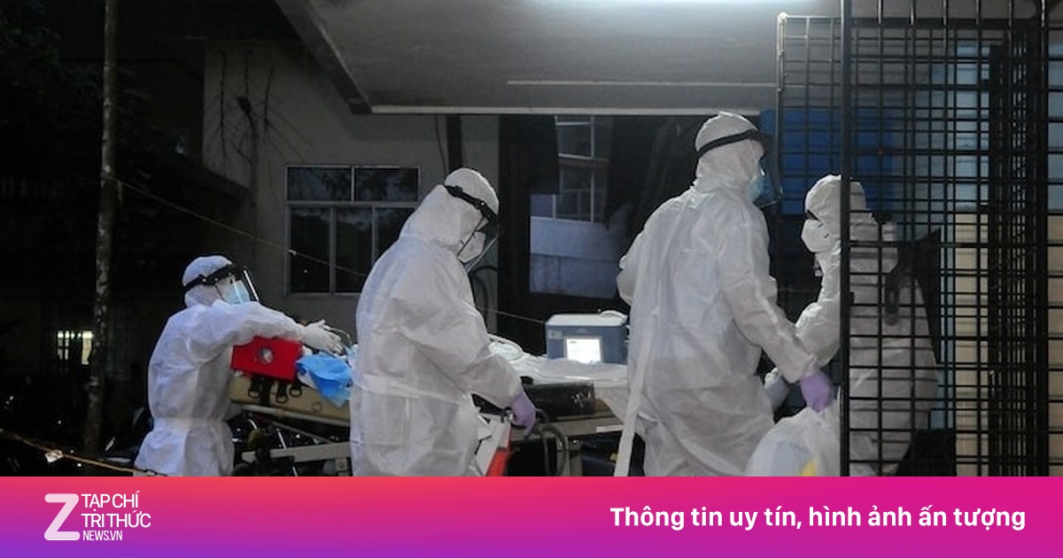 Virus Nipah bùng phát ở Ấn Độ, TP.HCM ra thông báo mới