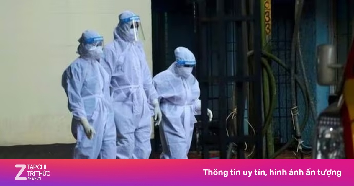 Chuyên gia nêu 2 nguy cơ lớn nhất khiến virus Nipah xâm nhập Việt Nam