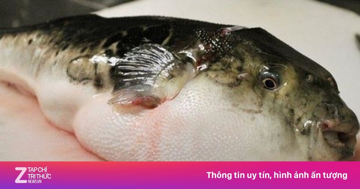 Cua quỷ, cá lạ và những hải sản ngon mắt chứa độc tố tử thần