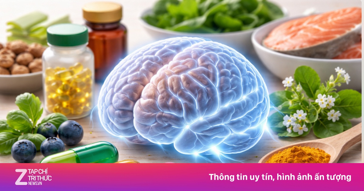 Những loại vitamin nào cần thiết cho chức năng não bộ?