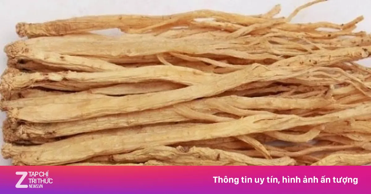 Việt Nam có 'vị thuốc đại bổ', giúp nâng tầm sức khỏe ít người biết