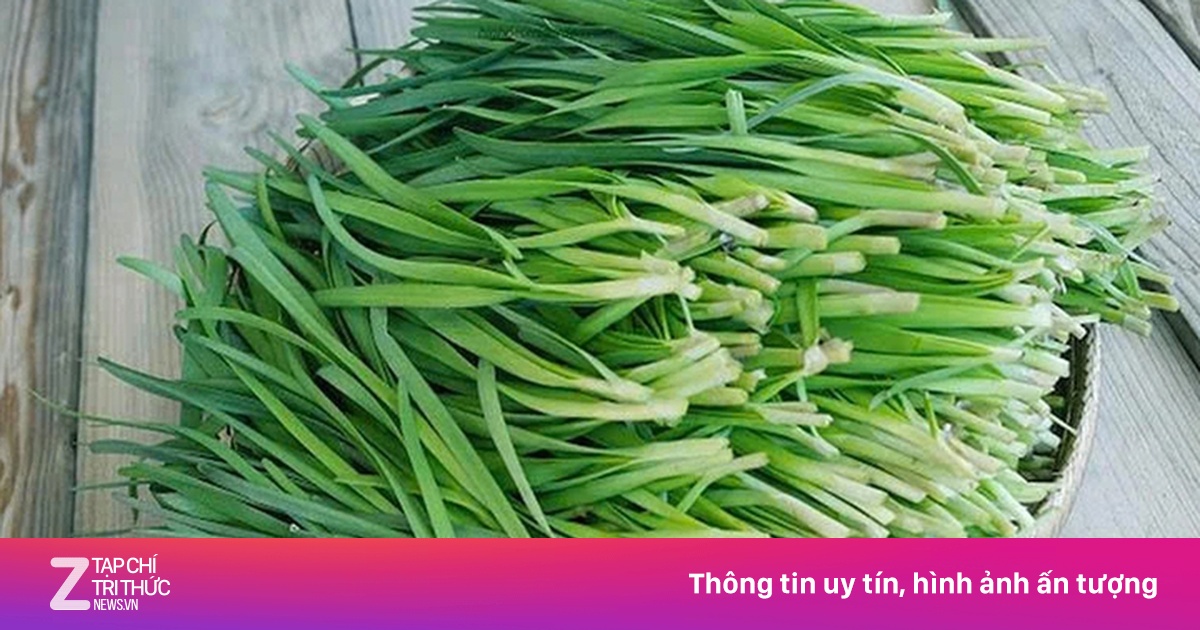 Nhng tc dng ca l h vi sc khe t ngi bit | Znews.vn