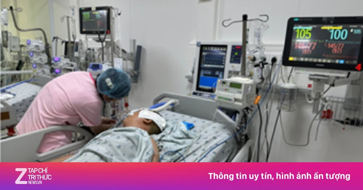 znews.vn
