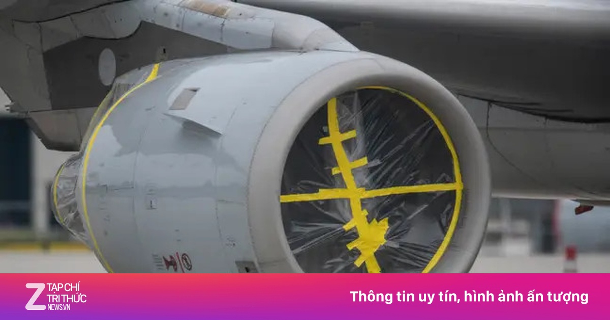 zingnews.vn
