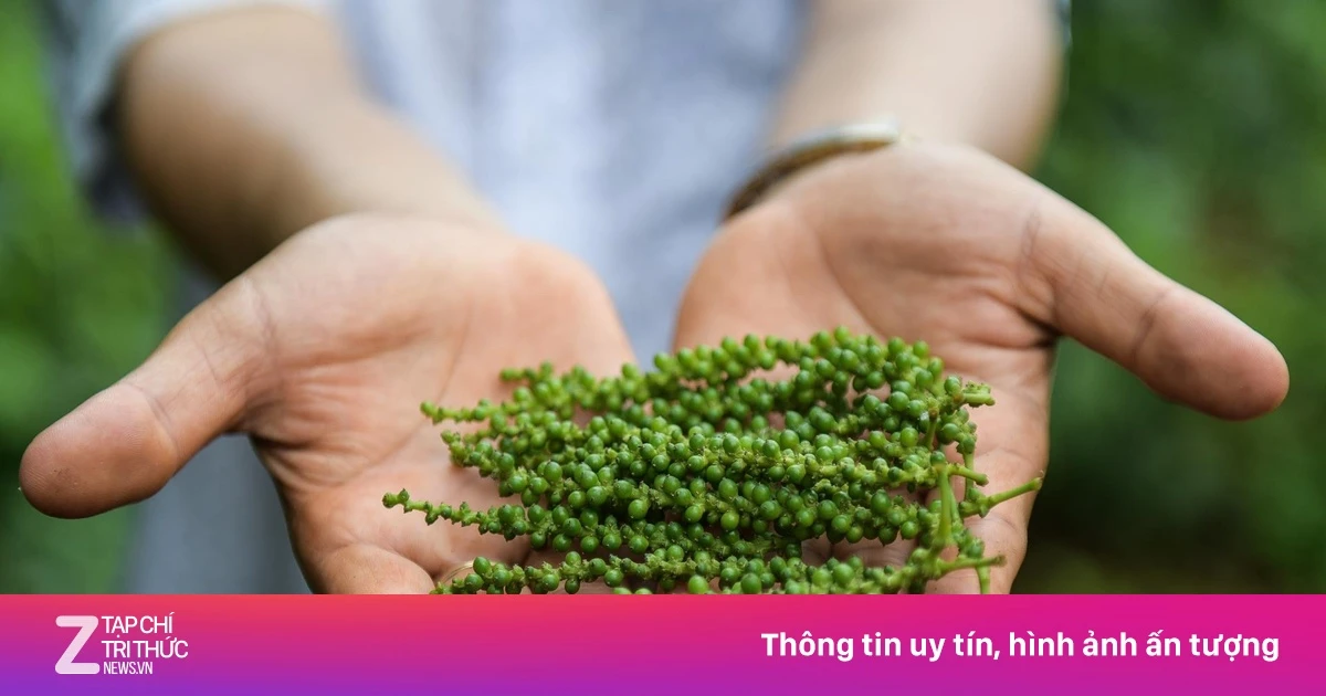 Xuất khẩu dầu thô Việt Nam: Lượng tăng, giá trị giảm