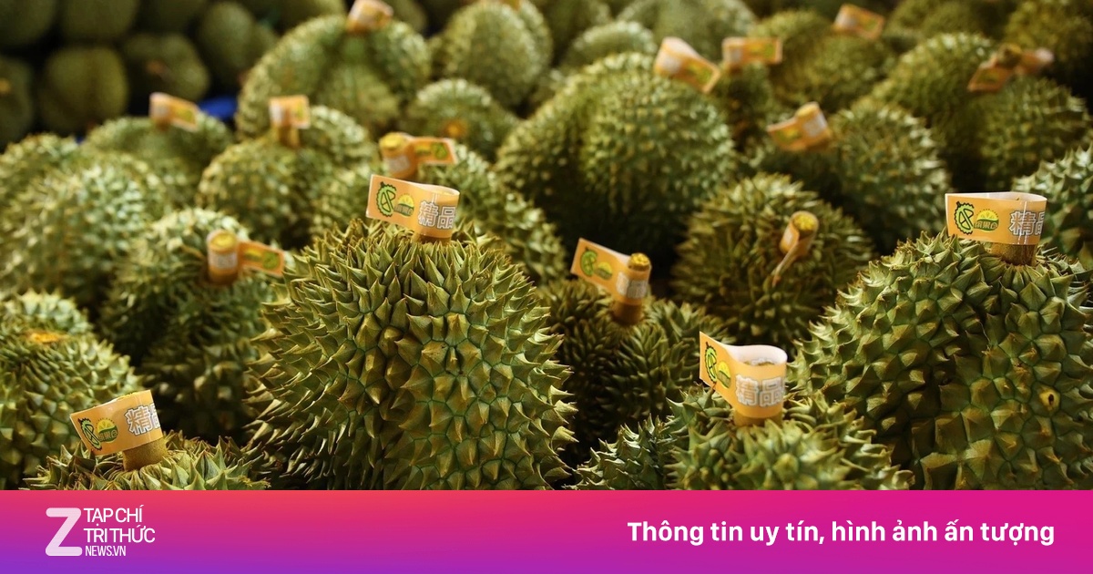 Việt Nam bán kỷ lục hơn 8,5 tỷ USD rau quả năm nay