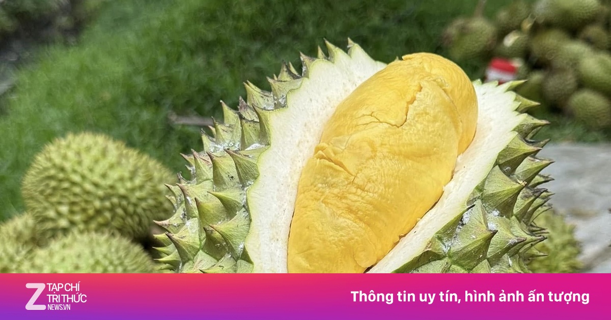 Thủ tướng: Ưu tiên thông quan nhanh nhất sầu riêng tại cửa khẩu