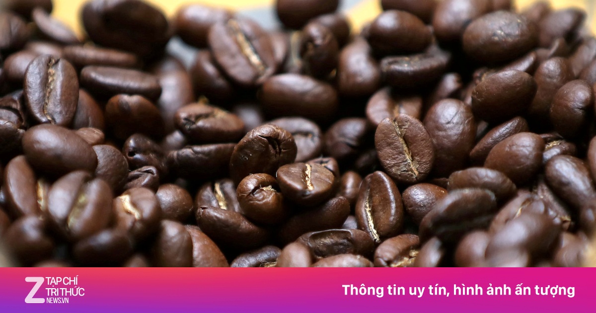 Giá cà phê trong nước bật tăng